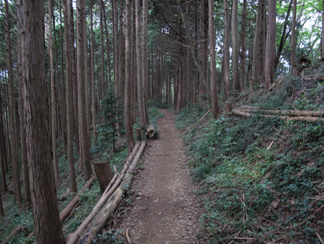 20161014hike (87)
